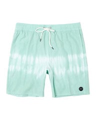 RVCA Manic beach vyrų maudymosi šortai цена и информация | Плавки, плавательные шорты | pigu.lt