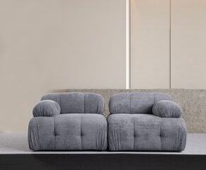 Sofa Petite 2, pilka kaina ir informacija | Sofos | pigu.lt