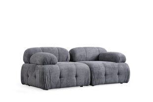 Sofa Petite 2, pilka kaina ir informacija | Sofos | pigu.lt