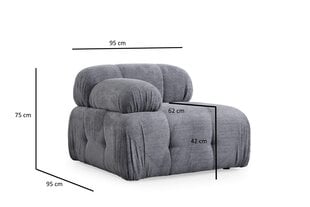 Sofa Petite 2, pilka kaina ir informacija | Sofos | pigu.lt