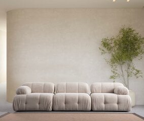 Sofa Petite 3, smėlio spalvos цена и информация | Диваны | pigu.lt