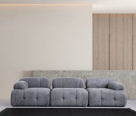 Sofa Petite 3, pilka цена и информация | Диваны | pigu.lt