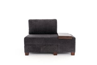 Sofa Perenna Chenille, pilka kaina ir informacija | Sofos | pigu.lt