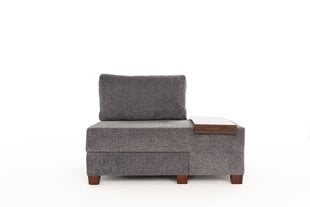 Sofa Perenna Chenille, pilka kaina ir informacija | Sofos | pigu.lt