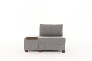 Sofa Perenna Linen Left, pilka kaina ir informacija | Sofos | pigu.lt