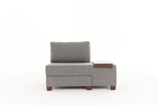 Sofa Perenna Linen Right, pilka kaina ir informacija | Sofos | pigu.lt