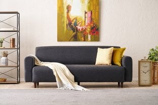 Sofa Noya Linen, pilka kaina ir informacija | Sofos | pigu.lt