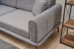 Sofa Seren, pilka kaina ir informacija | Sofos | pigu.lt