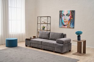 Sofa Perenna Chenille, pilka kaina ir informacija | Sofos | pigu.lt