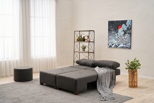 Sofa Perenna Linen, pilka kaina ir informacija | Sofos | pigu.lt