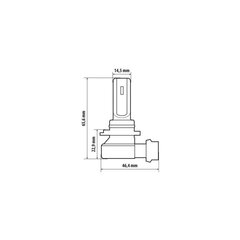 Halo Led HB3 15W P20d 1 vnt kaina ir informacija | Automobilių lemputės | pigu.lt