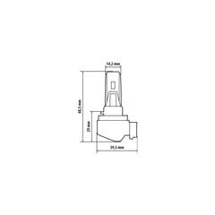 Halo Led H11 36Вт PGJ19-2 1 шт. цена и информация | Автомобильные лампочки | pigu.lt