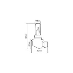 Halo Led HB3-HB4 36W P20d/P22d 1 vnt kaina ir informacija | Automobilių lemputės | pigu.lt