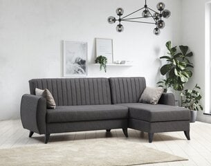 Sofa Alkon, pilka kaina ir informacija | Sofos | pigu.lt