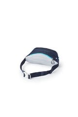 Klubo kišenė (inkstas) - Gregory Nano Waistpack 3.5 Bright Navy цена и информация | Рюкзаки, сумки, чехлы для компьютеров | pigu.lt