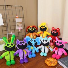 Pliušinis žaislas CatNap Smiling Critters, 30 cm цена и информация | Мягкие игрушки | pigu.lt