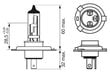 Bosch H4 Gigalight Plus+120% 60/55W цена и информация | Automobilių lemputės | pigu.lt