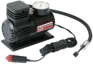 Kompresorius 12V 250psi Plastikinis kaina ir informacija | Auto reikmenys | pigu.lt