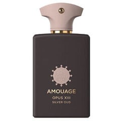 Kvapusis vanduo Amouage Library Collection Opus XIII Silver Oud EDP moterims/vyrams, 100 ml kaina ir informacija | Kvepalai moterims | pigu.lt