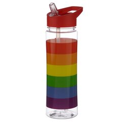 Vandens butelis 550 ml - Somewhere Rainbow kaina ir informacija | Gertuvės | pigu.lt