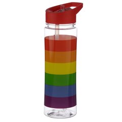 Vandens butelis 550 ml - Somewhere Rainbow kaina ir informacija | Gertuvės | pigu.lt