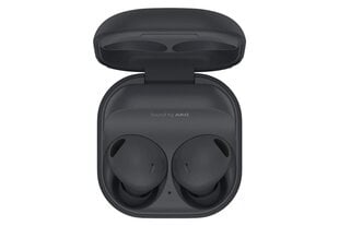 Samsung Galaxy Buds 2 Graphite kaina ir informacija | Ausinės | pigu.lt