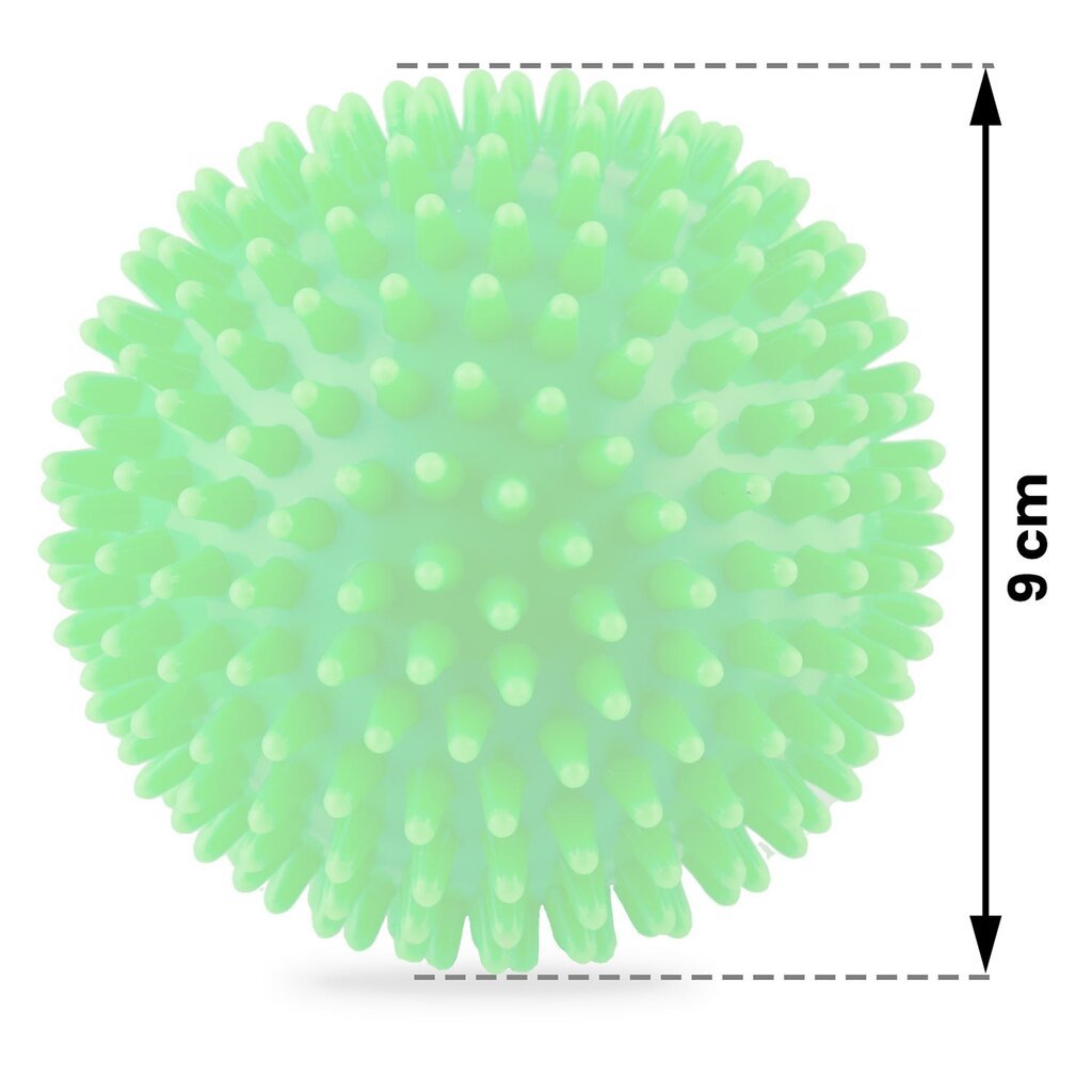 Masažo ir fitneso kamuolys 9cm NS-957 žalias цена и информация | Kitos fitneso prekės | pigu.lt