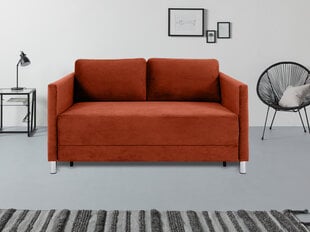 Dvivietė sofa-lova Flex New Wave110 цена и информация | Диваны | pigu.lt