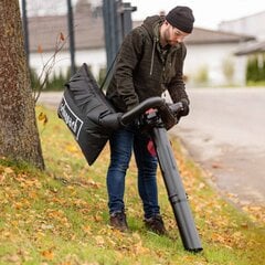 Pūstuvas LBH3500P, Scheppach kaina ir informacija | Gyvatvorių, žolės žirklės | pigu.lt