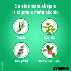 Burnos skalavimo skystis Listerine Fresh Burst, 250 ml kaina ir informacija | Dantų šepetėliai, pastos | pigu.lt