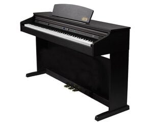 Elektrinis pianinas Artesia DP-10e RW 88-klavišų kaina ir informacija | Klavišiniai muzikos instrumentai | pigu.lt