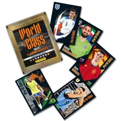 Panini "World Class" 2024 futbolo lipdukų pakuotės, 5 vnt. kaina ir informacija | Kolekcinės kortelės | pigu.lt