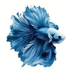 'Vibrant blue betta fish lipnus sienų lipdukas – puikiai tinka vonios kambario' kaina ir informacija | Interjero lipdukai | pigu.lt