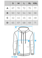 Džemperis vyrams Ombre OM-SSBN-0161 kaina ir informacija | Džemperiai vyrams | pigu.lt
