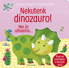 Nekutenk dinozauro! kaina ir informacija | Knygos mažiesiems | pigu.lt