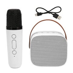 Mini karaoke aparato rinkinio palaikymas Bluetooth AUX USB atminties kortelės nešiojamasis Bluetooth garsiakalbis su belaidžiu mikrofonu baltas kaina ir informacija | Garso kolonėlės | pigu.lt