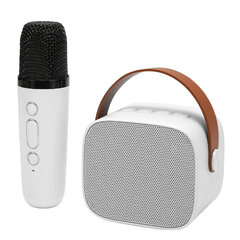 Mini karaoke aparato rinkinio palaikymas Bluetooth AUX USB atminties kortelės nešiojamasis Bluetooth garsiakalbis su belaidžiu mikrofonu baltas kaina ir informacija | Garso kolonėlės | pigu.lt