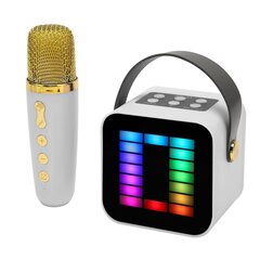 Mini karaokės aparatų rinkinys RGB Pickup Light skaitmeninis apdorojimo lustas, nešiojamasis nešiojamasis Bluetooth garsiakalbis su baltu mikrofonu kaina ir informacija | Garso kolonėlės | pigu.lt