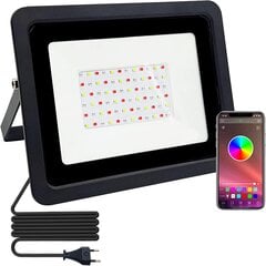 Išmanusis prožektorius RGB, 100 W цена и информация | Уличные светильники | pigu.lt