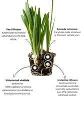 Hidrogelis Plara Agrogel Bio, 5 kg kaina ir informacija | Augalų priežiūros priemonės | pigu.lt