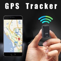 Mini GPS sekimo įrenginys kaina ir informacija | GPS navigacijos | pigu.lt