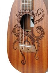 Koncertinė ukulelė Flycat P10C kaina ir informacija | Gitaros | pigu.lt