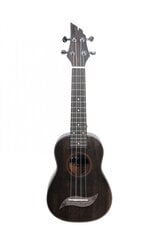 Koncertinė ukulelė Flycat Wave W10C BK kaina ir informacija | Gitaros | pigu.lt