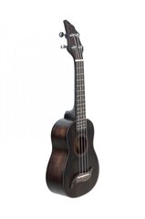 Soprano ukulelė Flycat W10S BK kaina ir informacija | Gitaros | pigu.lt