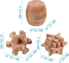 Mediniai galvosūkiai BrainZone kaina ir informacija | Dėlionės (puzzle) | pigu.lt