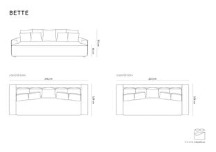 Sofa-lova Micadoni Bette, 241x104x93 cm, smėlio spalvos kaina ir informacija | Sofos | pigu.lt