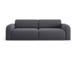 Sofa Micadoni Erin, 242x100x79 cm, pilka kaina ir informacija | Sofos | pigu.lt