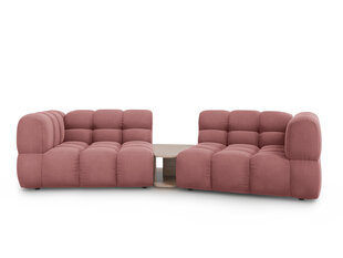 Modulinė sofa Cosmopolitan Design Sky 2, rožinė kaina ir informacija | Sofos | pigu.lt