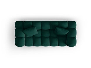 Sofa Windsor & Co Halley 2, žalia kaina ir informacija | Sofos | pigu.lt