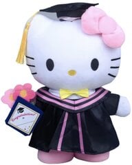 Minkštas žaislas Hello Kitty kaina ir informacija | Žaidėjų atributika | pigu.lt